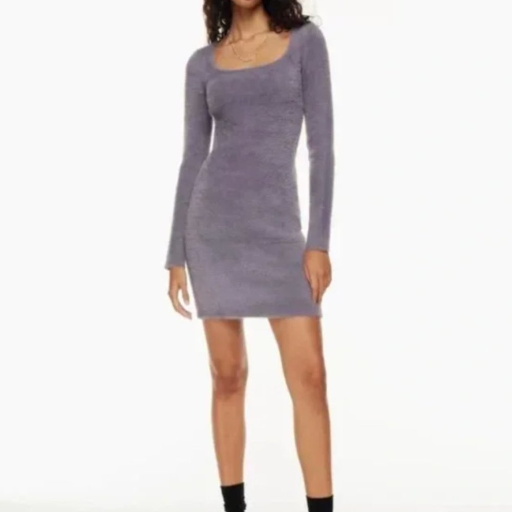 Aritzia Sunday Best Montgomery Dress